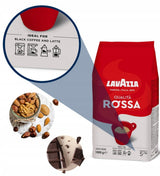 Lavazza Qualità Rossa kavos pupelės, 1 kg
Lavazza Qualità Rossa – klasikinės itališkos kavos pupelės, pasižyminčios sodriu, subalansuotu skoniu ir maloniu aromatu. Tai puikus pasirinkimas kasdieniam kavos puodeliui tiek namuose, tiek biure.